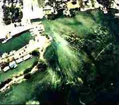 Disturbed by rough weather, clouds of calcium carbonate remain suspened in water for days.