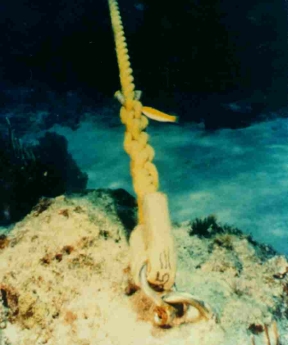 Mooring buoy installed in fosilized coral